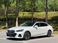 BMW 5 Series 530Li Luxury M Sport Package - ფოტო 1
