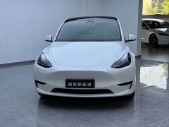 Tesla Model Y Rear-Wheel Drive - ფოტო 2