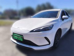 BYD Seagull 05 DM-i Smart Drive Edition 55KM Luxury - ფოტო 1