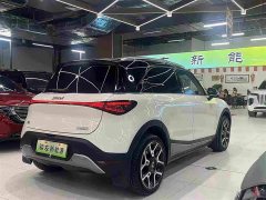 smart #1 2022 Pulse Heartbeat Edition - ფოტო 12