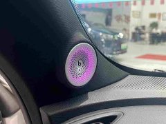 smart #1 2022 Pulse Heartbeat Edition - ფოტო 8