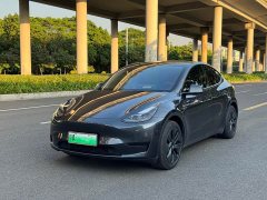 Tesla Model Y Rear-Wheel Drive - ფოტო 1