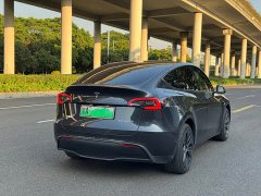 Tesla Model Y Rear-Wheel Drive - ფოტო 3