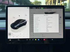 Tesla Model Y Rear-Wheel Drive - ფოტო 8