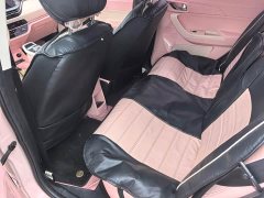 Changan Benben E-Star Pure Heart Edition Multicolor LFP - ფოტო 11