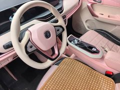 Changan Benben E-Star Pure Heart Edition Multicolor LFP - ფოტო 12