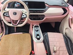Changan Benben E-Star Pure Heart Edition Multicolor LFP - ფოტო 16