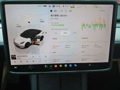 Tesla Model Y Rear-Wheel Drive - ფოტო 7