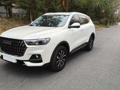 Haval H6 National Trend Edition 1.5T Automatic Urban Version - ფოტო 2