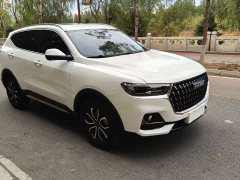 Haval H6 National Trend Edition 1.5T Automatic Urban Version - ფოტო 3