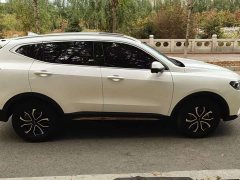 Haval H6 National Trend Edition 1.5T Automatic Urban Version - ფოტო 4