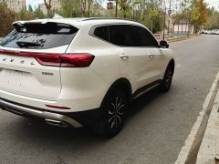 Haval H6 National Trend Edition 1.5T Automatic Urban Version - ფოტო 7