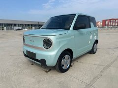 Geely Panda Mini 200km Endurance Edition - ფოტო 1