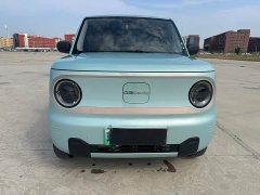 Geely Panda Mini 200km Endurance Edition - ფოტო 2