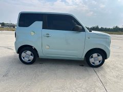 Geely Panda Mini 200km Endurance Edition - ფოტო 4