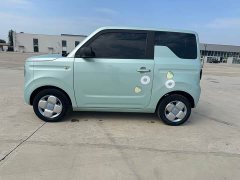 Geely Panda Mini 200km Endurance Edition - ფოტო 8