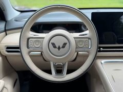 Wuling Bingguo S 2025 325km Deluxe Edition - ფოტო 8