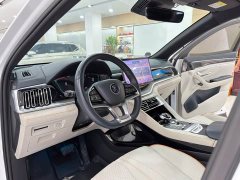 BYD Song Plus New Energy Champion Edition EV 520KM Flagship - ფოტო 4