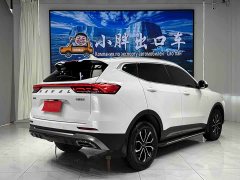 Haval H6 2021 National Trend Edition 1.5T Automatic Urban Version - ფოტო 4