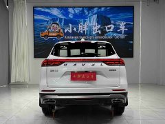 Haval H6 2021 National Trend Edition 1.5T Automatic Urban Version - ფოტო 5