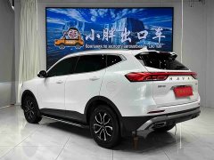Haval H6 2021 National Trend Edition 1.5T Automatic Urban Version - ფოტო 6