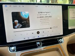 Stelato Zun S800 Extended Range Starlight Premium Edition 5-Seater (192-line LiDAR) - ფოტო 13