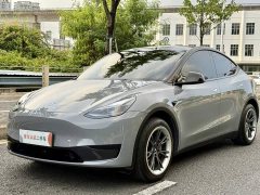 Tesla Model Y Rear-Wheel Drive - ფოტო 1