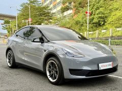 Tesla Model Y Rear-Wheel Drive - ფოტო 3