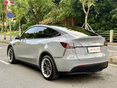 Tesla Model Y Rear-Wheel Drive - ფოტო 7