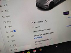 Tesla Model Y Rear-Wheel Drive - ფოტო 16
