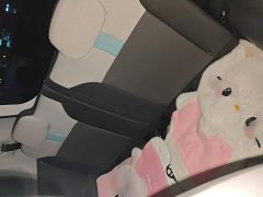 Changan Lumin 205km Xiangqin Edition - ფოტო 13