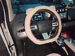 Changan Lumin 205km Xiangqin Edition - ფოტო 6