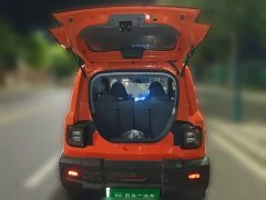 Geely Panda 200km Panda Knight - ფოტო 15