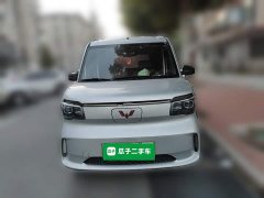 Wuling Zhiguang New Energy 305km Aspiring Edition - ფოტო 2