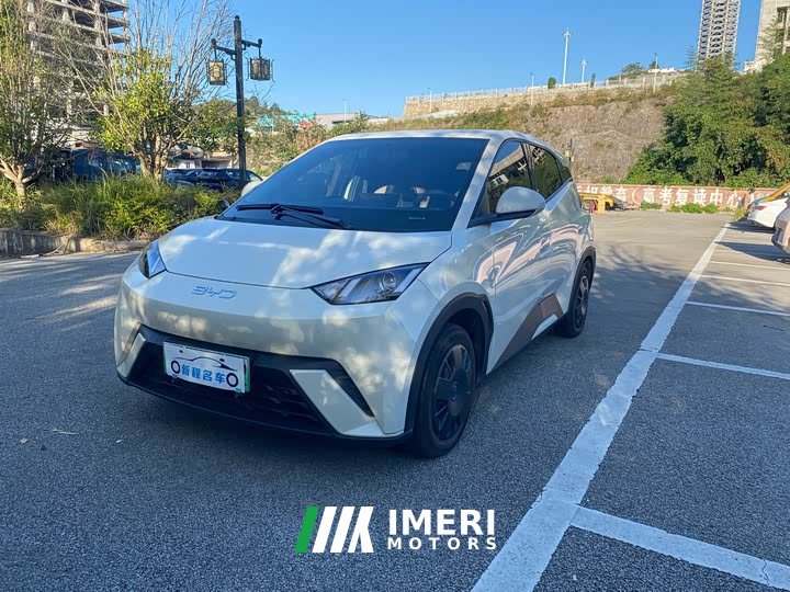 BYD Seagull Glory Edition 305km Vitality Version - ავტომობილი ჩინეთიდან