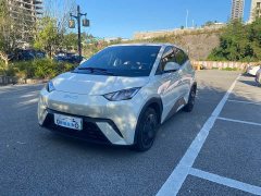 BYD Seagull Glory Edition 305km Vitality Version - ფოტო 1