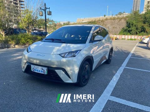 2024 BYD Seagull Glory Edition 305km Vitality Version - ავტომობილი ჩინეთიდან
