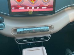 BYD Seagull Glory Edition 305km Vitality Version - ფოტო 11