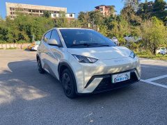 BYD Seagull Glory Edition 305km Vitality Version - ფოტო 3