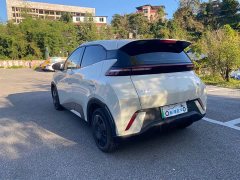BYD Seagull Glory Edition 305km Vitality Version - ფოტო 4