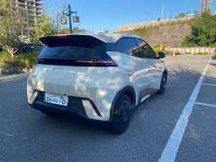 BYD Seagull Glory Edition 305km Vitality Version - ფოტო 6