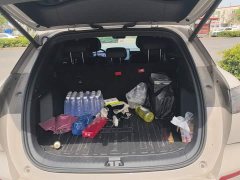 BYD Haima Sealion 06 DM-i 205 Pilot Pro - ფოტო 4
