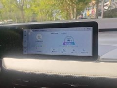 Geely Geometry E Firefly 320KM Cute Tiger 5-Seater - ფოტო 20