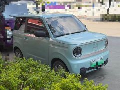 Geely Panda 2024 Panda Mini 200km Endurance Edition - ფოტო 2