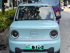 Geely Panda 2024 Panda Mini 200km Endurance Edition - ფოტო 3