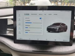BYD Qin PLUS Glory Edition DM-i 55KM Leading - ფოტო 20