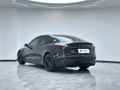 Tesla Model 3 High Performance All-Wheel Drive - ფოტო 7