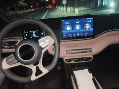 BYD Seagull Vitality Edition - ფოტო 10