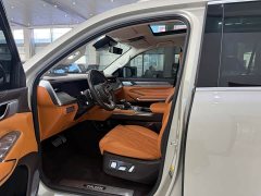 Tank 500 3.0T Business Edition Landscape Version 5-Seater - ფოტო 7