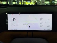 XPeng G9 2024 702 Max - ფოტო 12
